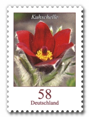 Deutschland Dauermarke Blumen 58 Cent Kuhschelle