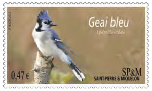 Kluger Rabenvogel auf Briefmarke