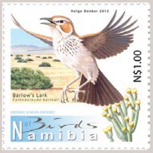 Dauerserie Vogelarten aus Namibia.