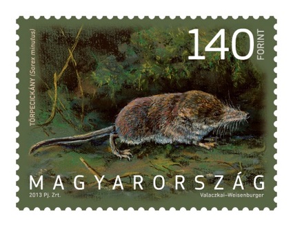 Zwergspitzmaus_auf_ungarischer_Briefmarke