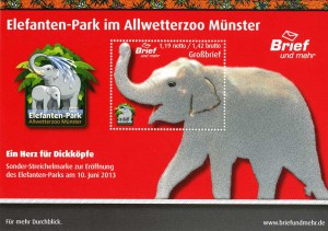 Ein Herz für Dickköpfe…