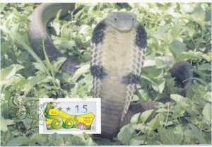 Jahr der Schlange - Maximumkarte mit ATM aus Macau.