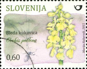 Orchidee Orchis pallens auf slowenischer Briefmarke