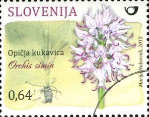 Orchideen Orchis simia auf slowenischer Briefmarke