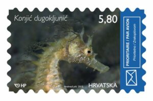 Briefmarke_Kroatien_Seepferdchen