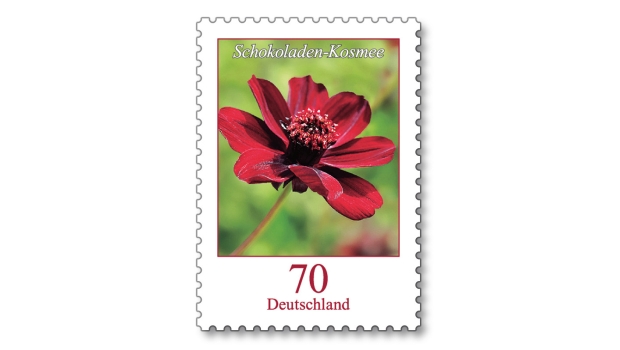 Blumengrüße im Dezember