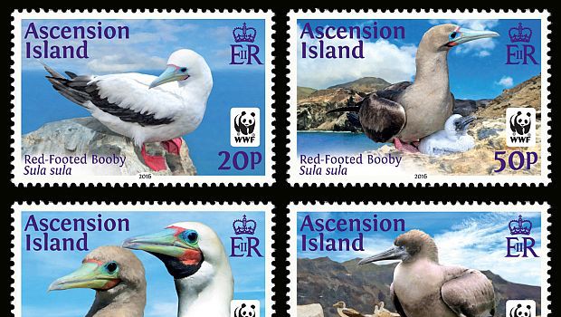 Briefmarke der Woche: Viele Feinde für seltene Meeresvögel