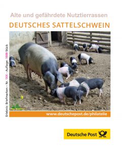 Umschlag Post Sattelschwein ohne Stempel