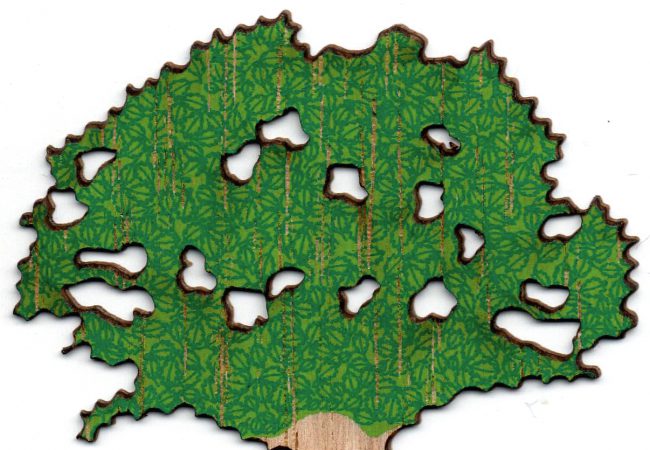 Zinnober Zacke Sondermarke Briefmarken Spiegel 11 2017 (2)