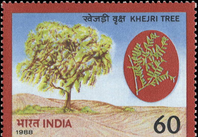 indi-1166 1988, 5. Juni. Welt-Umwelttag Indien Earth Day
