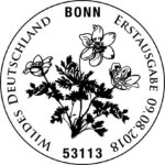 Stempel Bergfichtenwald-Bonn