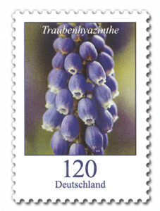 Briefmarke Deutschland Traubenhyazinthe