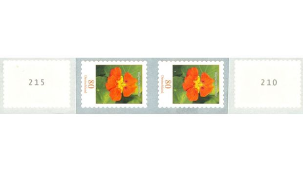 Blumen mit neuen Zählnummern