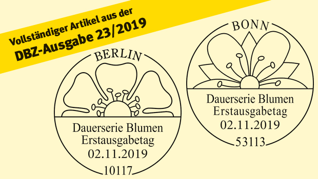 Neuheiten November 2019: Blumen, Geschichte, Fernsehen, Weihnachten