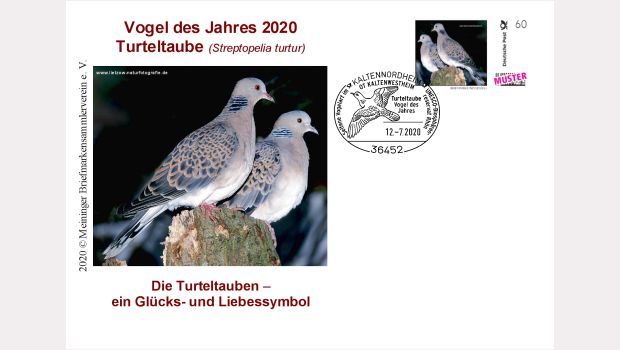 Tipp zum Wochenende: Turteltaube als Vogel des Jahres in Kaltenwestheim
