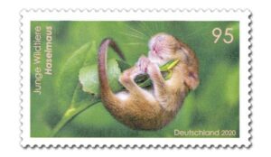 Briefmarke Deutschland Haselmaus