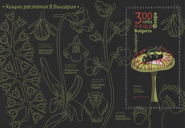 BMS_BRIEFMARKEN_SPIEGEL_Jugend_Natur_Wettbewerb_DPhJ_marke