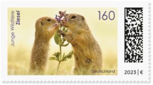 Briefmarke Deutschland Ziesel
