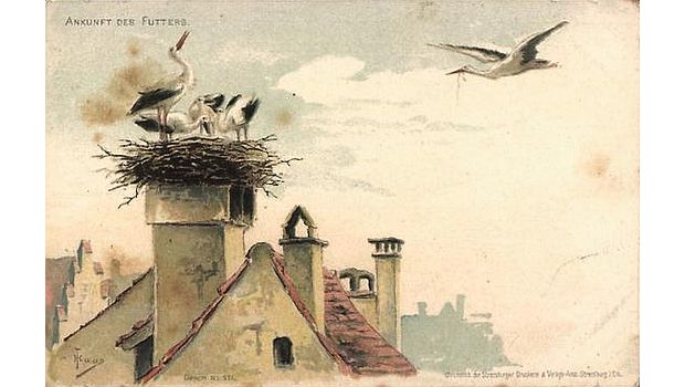 Stoerche-Ansichtskarten